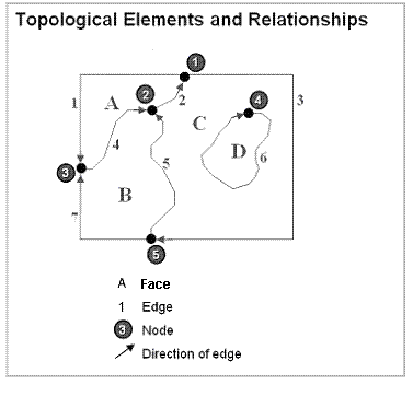 Example topological line graph of nodes, faces, and edges